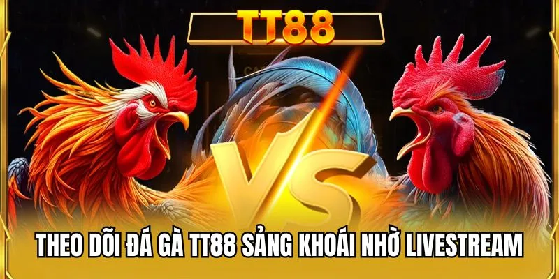 Theo dõi đá gà TT88 sảng khoái nhờ livestream